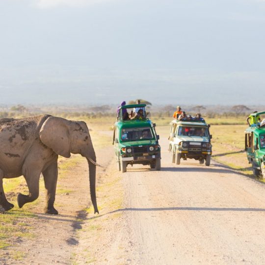https://istanbulmice.com.tr/wp-content/uploads/2021/06/kenya1-1200x800-540x540.jpg